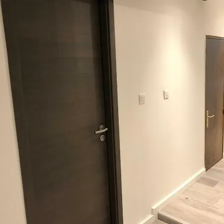 Centre Historique Lejlighed Colmar